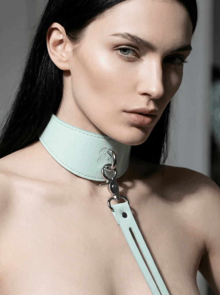 Home 高级项圈时尚摄影 精准比例版